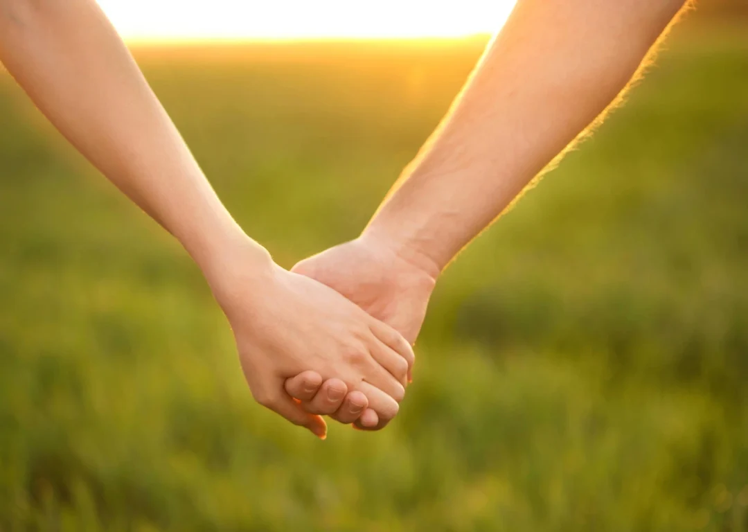 People holding hands in a sunny field.