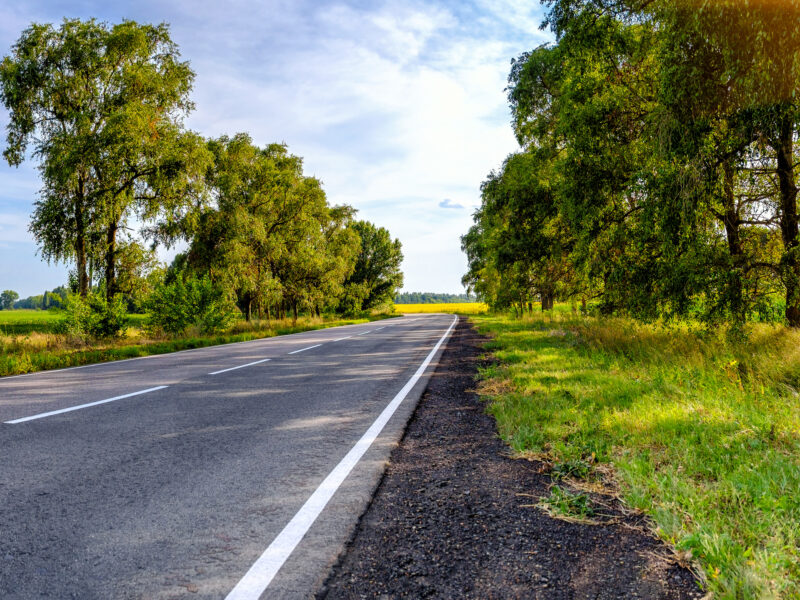 A road with trees and sun down the sides